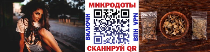 Галлюциногенные грибы Psilocybe Ижевск