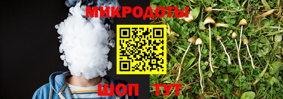 Псилоцибиновые грибы мухоморы Ижевск