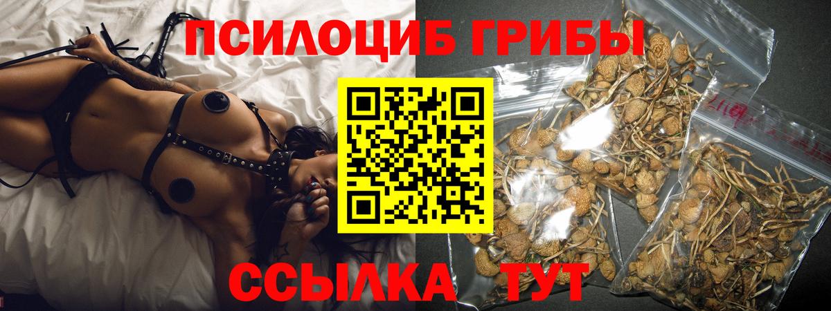 Галлюциногенные грибы GOLDEN TEACHER  Вход с VPN  наркотики  Ижевск 