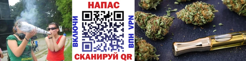 хочу наркоту  Ижевск  Канабис семена 